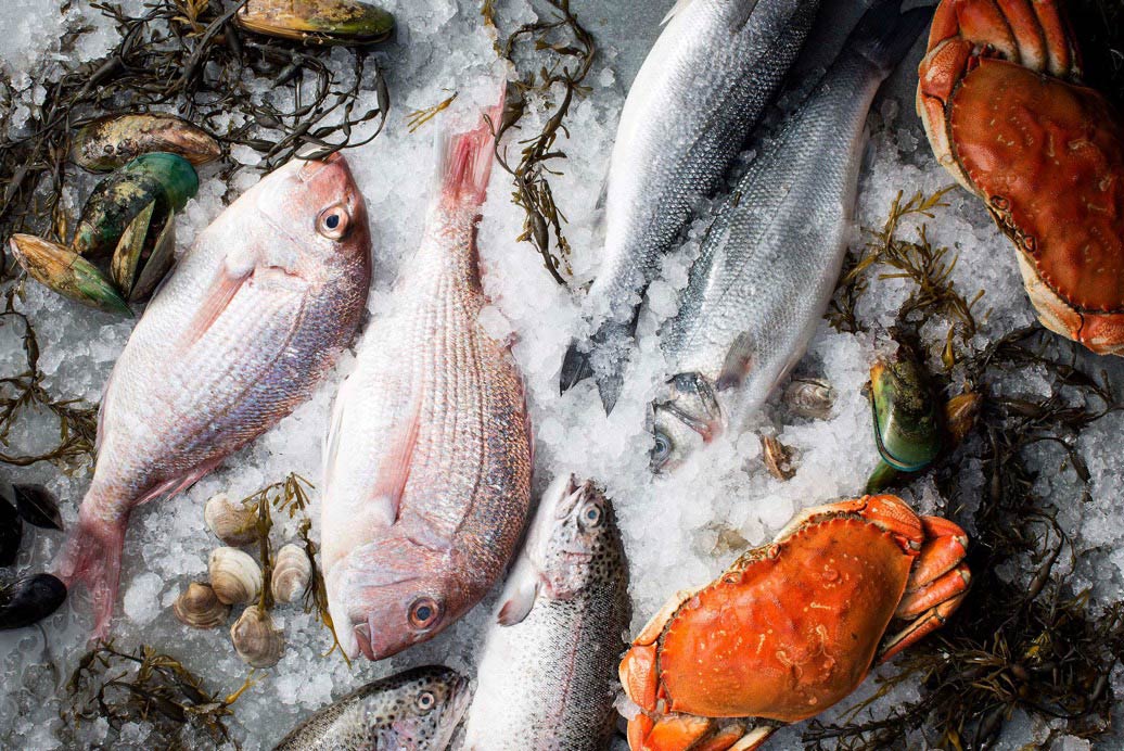 various raw fish and sea food on ice
