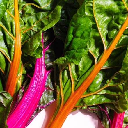 bed of rainbow chard